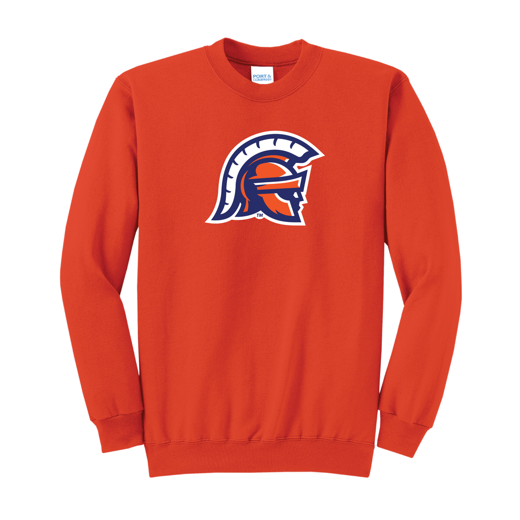 Port & Company® Core Fleece Crewneck Sweatshirt
