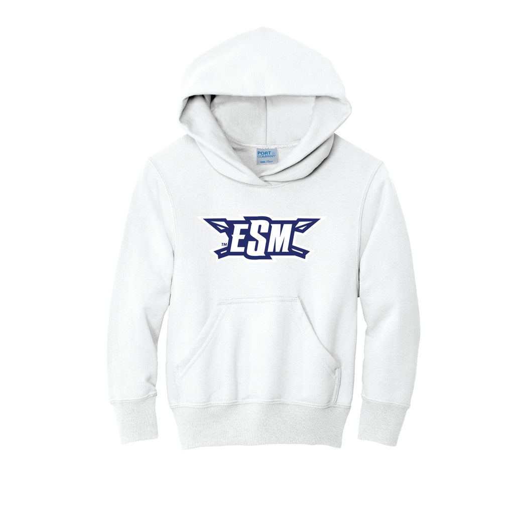 Port & Company® Youth Core Fleece Pullover Hooded Sweatshirt